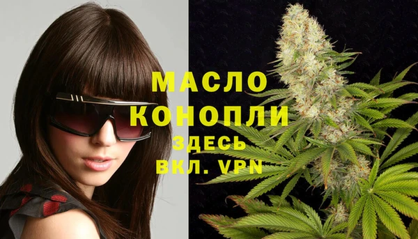 мдпв Богородицк