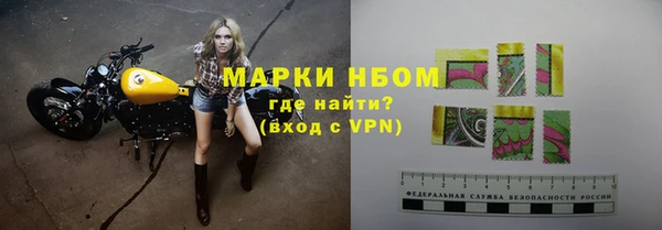 мдпв Богородицк