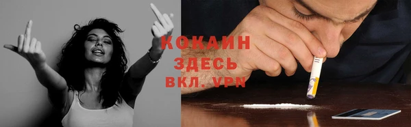 крисы Богданович