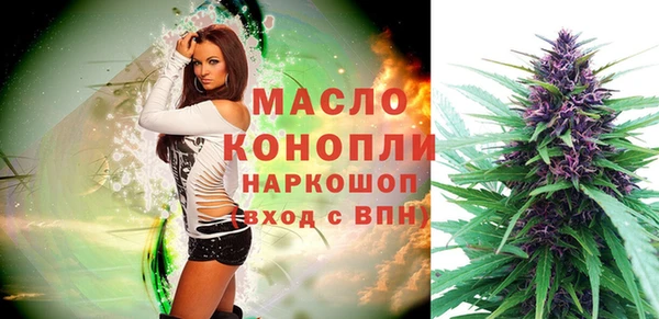 мдпв Богородицк