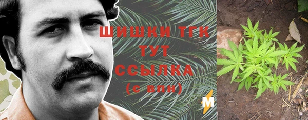 спайс Богородск