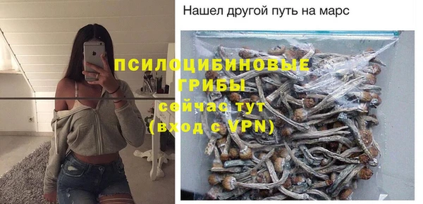 мдпв Богородицк